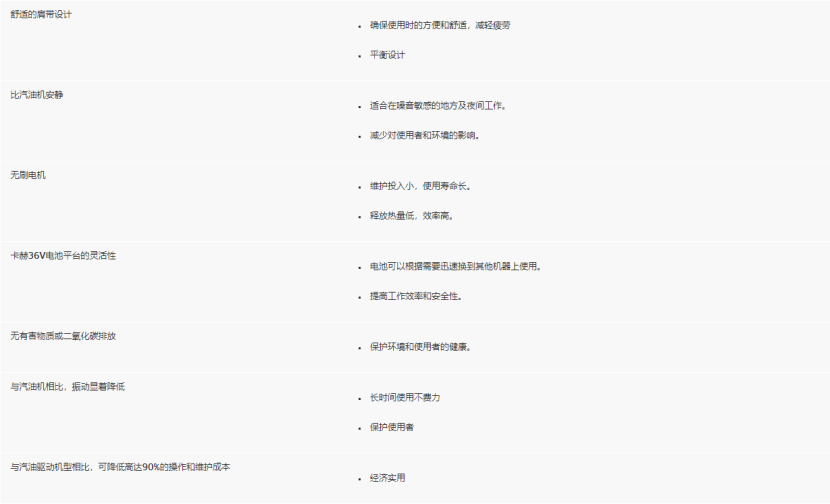 LB 930/36 Bp落叶吹风机